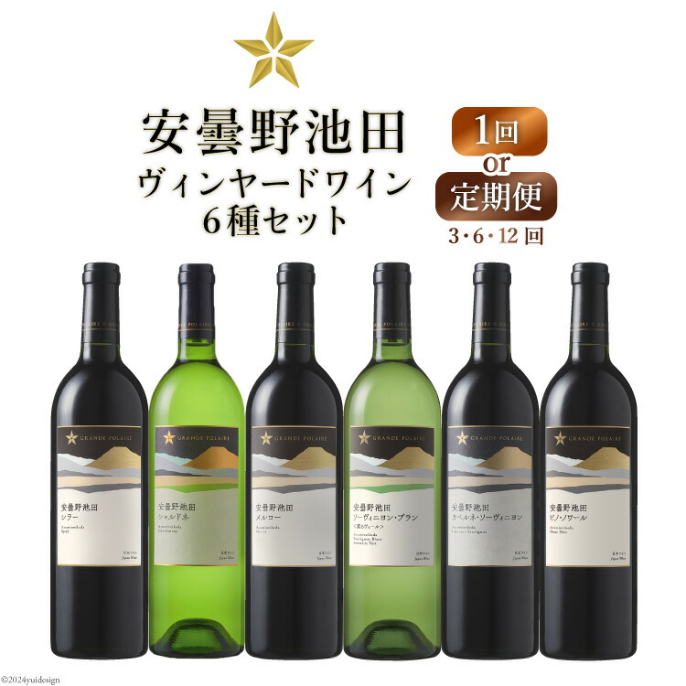 【ふるさと納税】 赤 白 ワイン 750ml 6種 【選べる発送回数】 セット サッポロ グランポレール 安曇野池田 ヴィンヤード [ナチュラルマルシェ ソヨソヨ 長野県 池田町 48110719] 定期便 1回 3回 6回 12回 赤ワイン 白ワイン 飲み比べ