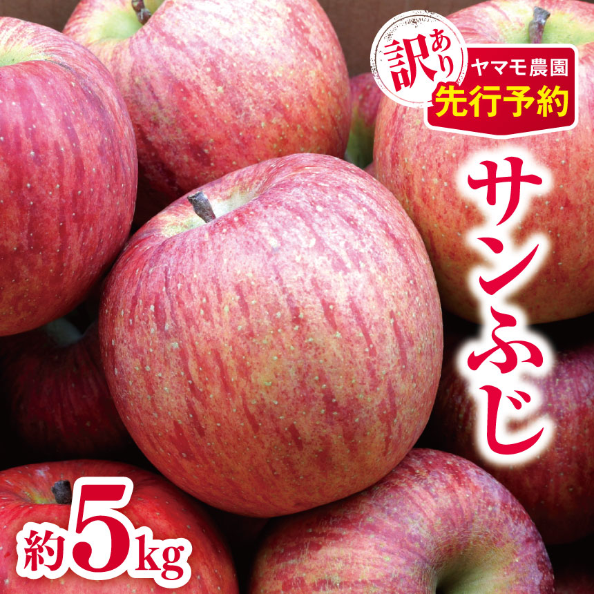 【ふるさと納税】訳あり サンふじ 約5kg【2026年先行予約】 | ヤマモ農園 果物 フルーツ りんご リンゴ 林檎 サンふじ サンフジ 訳あり 長野県 松川村 信州
