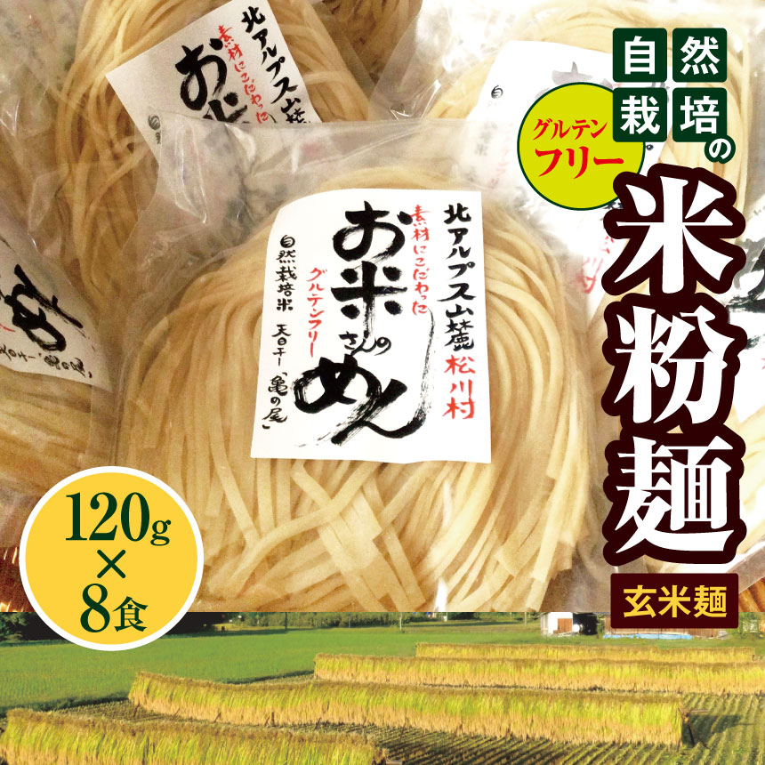【ふるさと納税】*グルテンフリー 自然栽培 の 米粉 麺（ 玄米 麺 ）120g×8食 ｜ 麺 めん 米粉 米粉麺 米粉めん グルテンフリー お米のめん 半生麺 長野県 松川村