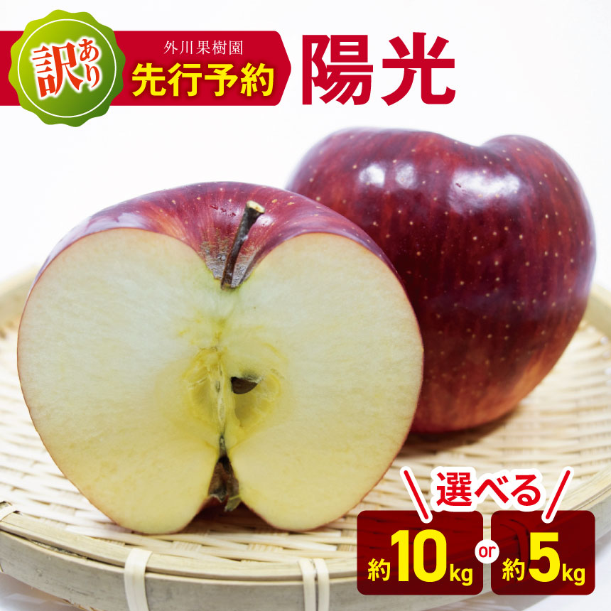 【ふるさと納税】*【2025年先行予約】 外川果樹園 訳あり 陽光 約10kg・約5kg  ｜ リンゴ りんご 林檎 果物 フルーツ 果実 果汁 陽光 ようこう わけあり 訳アリ 長野県 松川村 信州