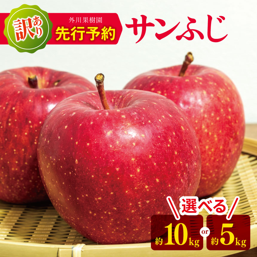 【ふるさと納税】 *【2025年先行予約】 外川果樹園 訳あり サンふじ 約10kg 約5kg  ｜ リンゴ りんご 林檎 果物 フルーツ 果実 果汁 サンふじ さんふじ 家庭用 わけあり 訳アリ 長野県 松川村 信州