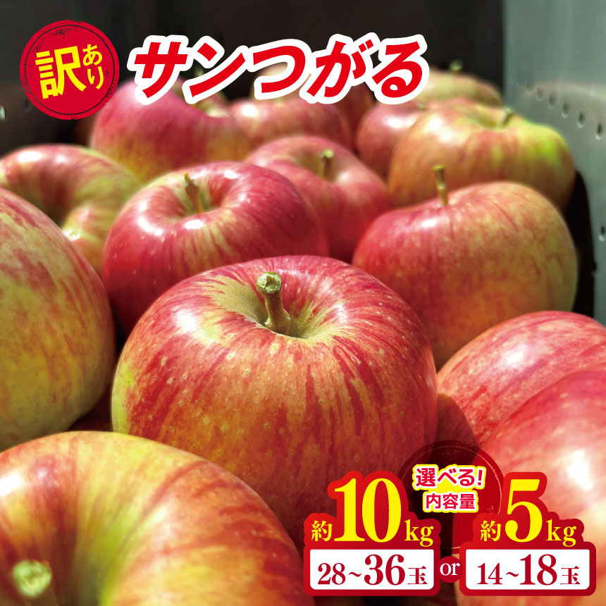 【ふるさと納税】*【2025年先行予約】やまし平林農園 訳あり サンつがる 約5kg  / 約10kg ｜ リンゴ りんご 林檎 果物 フルーツ 果実 果汁 サンつがる さんつがる 家庭用 わけあり 訳アリ 長野県 松川村 信州