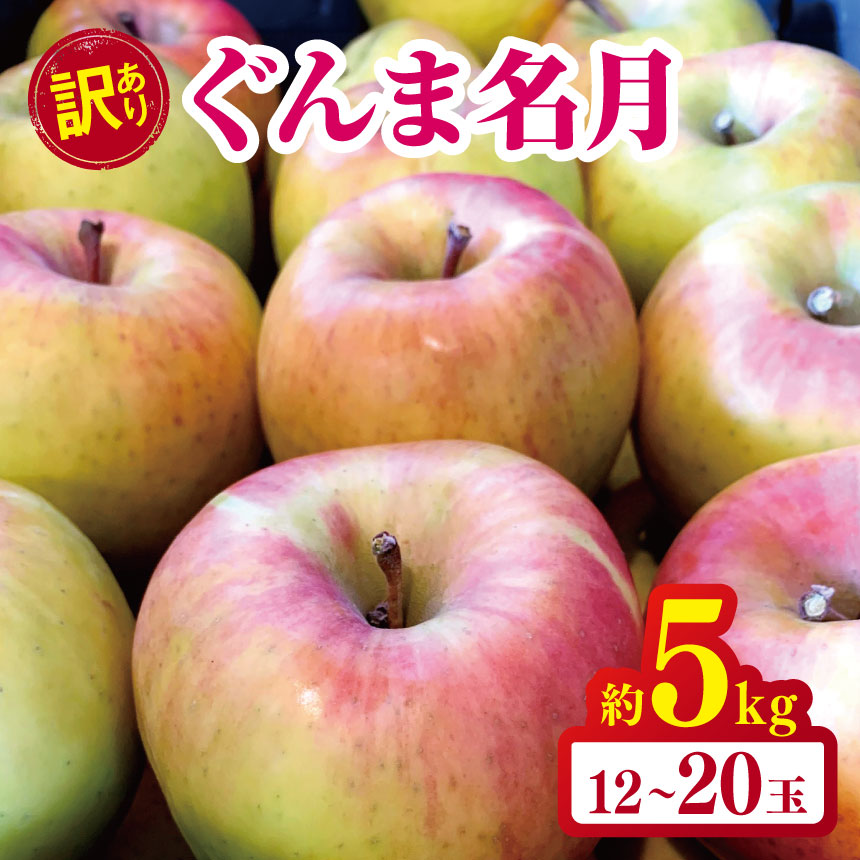 【ふるさと納税】 訳あり ぐんま名月 約5kg 【2026年先行予約】｜ やまし平林農園 リンゴ りんご 林檎 果物 フルーツ 果実 果汁 ぐんま名月 ぐんまめいげつ 家庭用 わけあり 訳アリ 長野県 松川村 信州