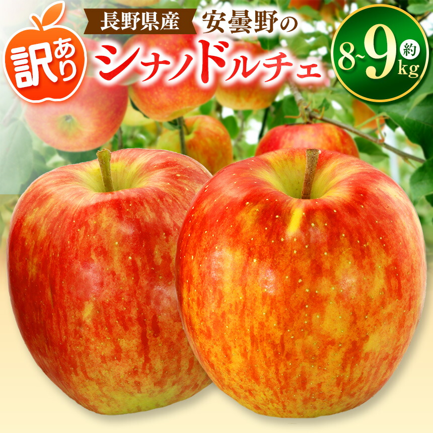 【ふるさと納税】*【2025年先行予約】東印平林農園 訳あり シナノドルチェ 約8～9kg ｜ リンゴ りんご 林檎 果物 フルーツ 果実 果汁 シナノドルチェ しなのドルチェ 家庭用 わけあり 訳アリ 長野県 松川村