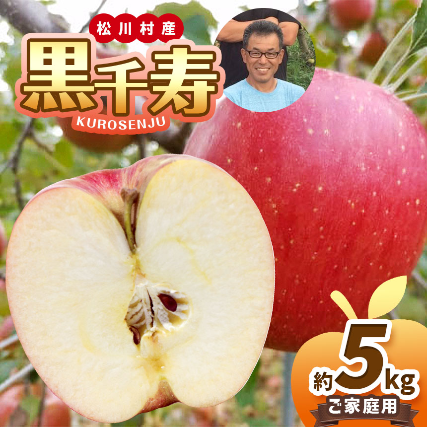【ふるさと納税】家庭用 黒千寿 約5kg 【2026年先行予約】 | 北條農園 果物類 林檎 りんご リンゴ 黒千寿 大きい 甘い 日持ち 長野県 松川村 まつかわ 長野 信州