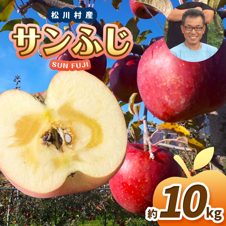 【ふるさと納税】*【2025年先行予約】 北條農園 並品 サンふじ 約10kg ｜ リンゴ りんご 林檎 果物 フルーツ 果実 果汁 サンふじ さんふじ 長野県 松川村 信州