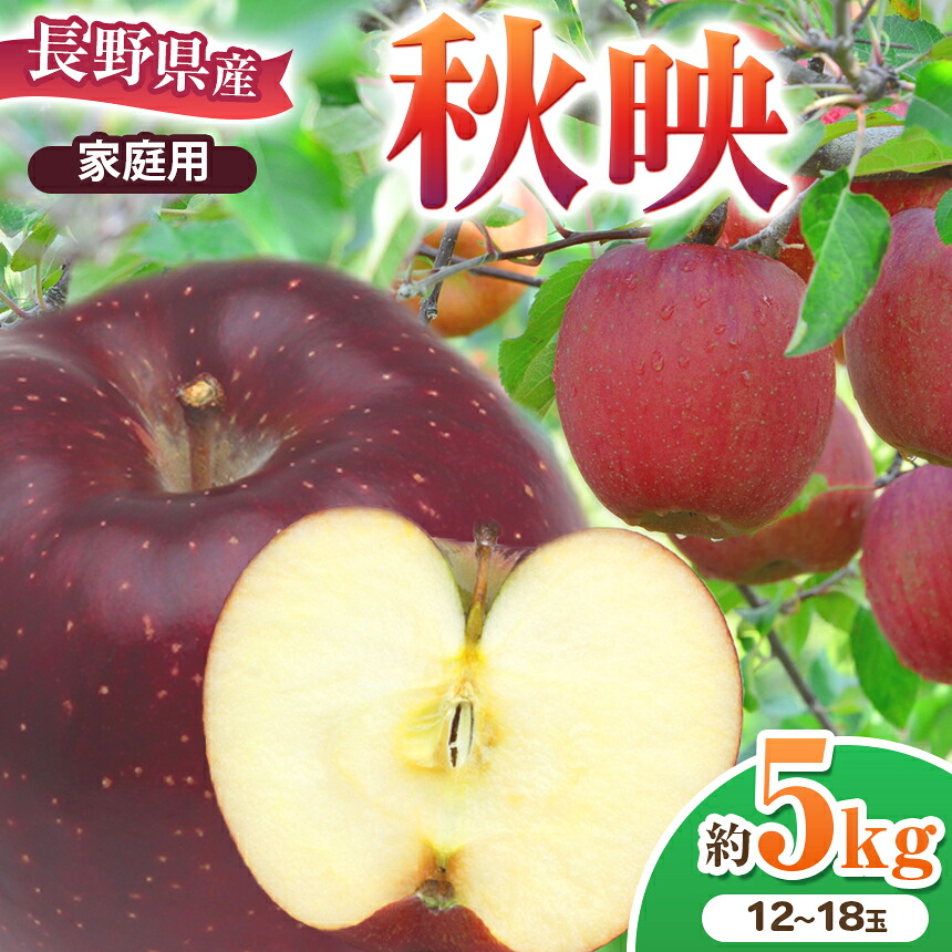 【ふるさと納税】 家庭用 秋映 約5kg 【2026年先行予約】 ｜ 北條農園 リンゴ りんご 林檎 果物 フルーツ 果実 果汁 秋映 家庭用 長野県 松川村 信州