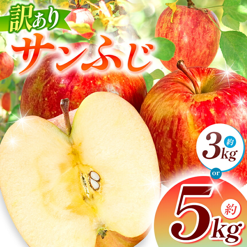 【ふるさと納税】訳あり サンふじ 約 3kg ・ 5kg 【2026年先行予約】 ｜ 浅野農園 リンゴ りんご 林檎 果物 くだもの フルーツ 果実 果汁 訳あり サンふじ 長野県 松川村 信州 7,700円