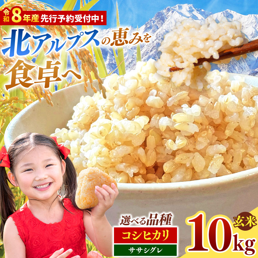 【ふるさと納税】玄米 約10kg 選べる収穫年度 ・ 品種（令和7年産 / 令和8年産）・（コシヒカリ / ササシグレ） | ニチカ農園 米 こめ コメ お米 玄米 コシヒカリ ササシグレ ライス 長野県 松川村 信州｜長野県松川村