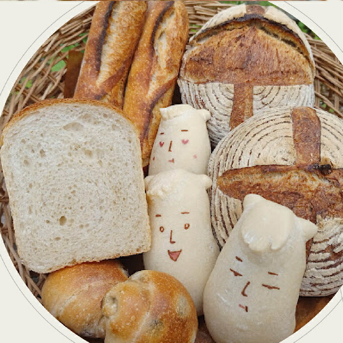 【ふるさと納税】白馬村の季節の素材も使った、珍しい自家培養酵母の小麦パン/長野県白馬村 自家製酵母パン 季節の素材 食事パンセット 村男 サステナブル オーガニックパン 自然発酵 信州パン 地産地消 こだわり素材 パン工房 朝食|長野県白馬村