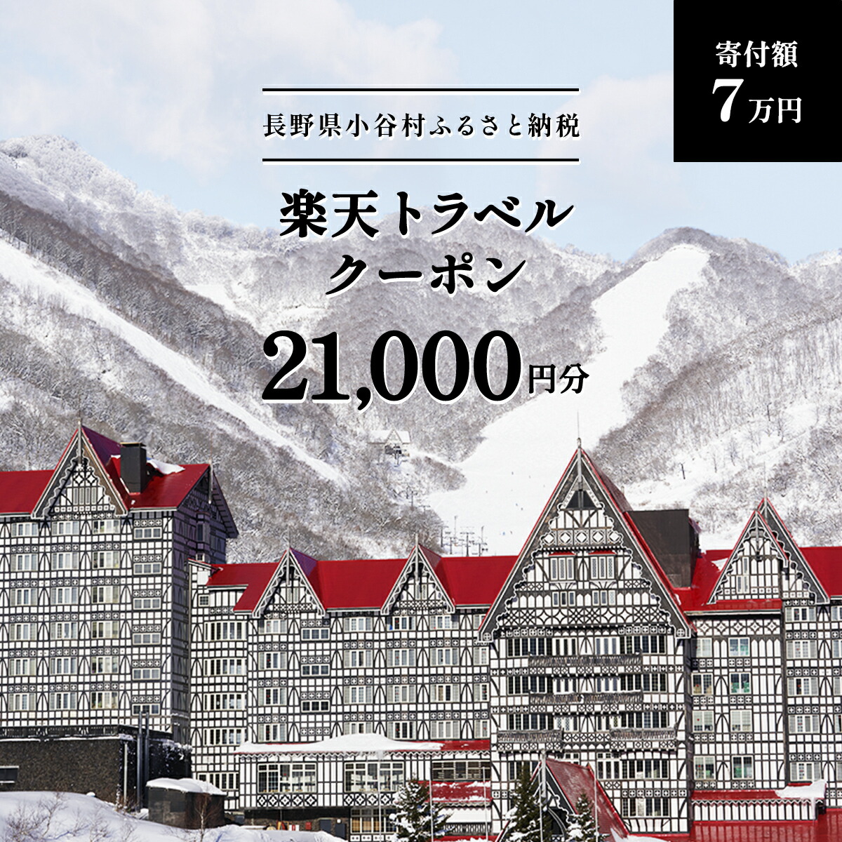 栂池高原スキー場リフト券大人1日券2枚 ふるさと納税 小谷村 HAKUBA VALLEY 栂池高原スキー場リフト1日