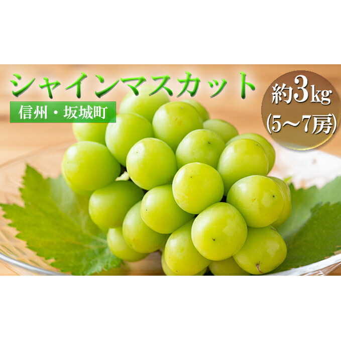 楽天市場】【ふるさと納税】訳あり シャインマスカット 約1.2kg 楽天市場】【ふるさと納税】訳あり シャインマスカット 約1.2kg