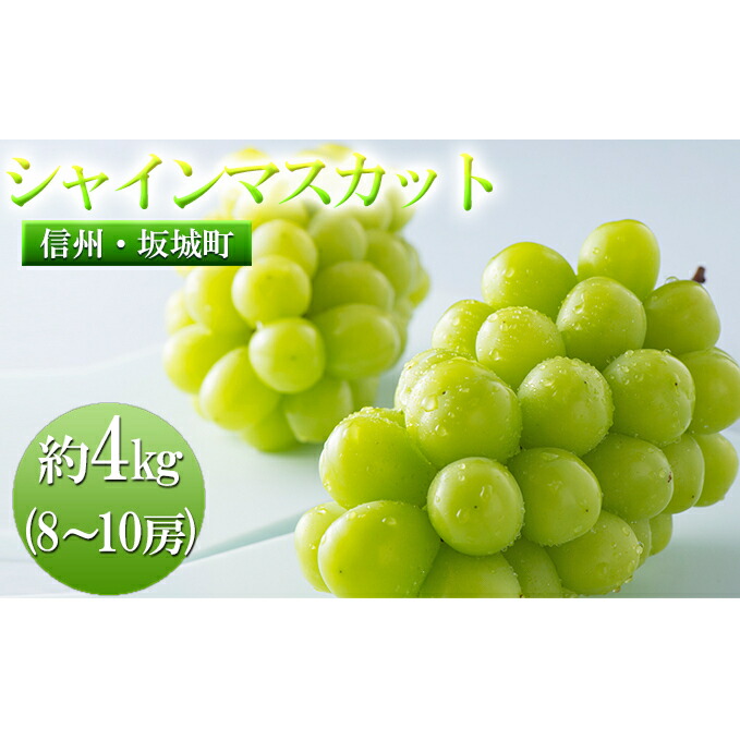 【ふるさと納税】シャインマスカット 約4kg 8房～10房 宮原農園 ぶどう 長野 マスカット ブドウ フルーツ 果物 シャイン【 果物類 】 葡萄 　お届け：2025年10月上旬～10月下旬