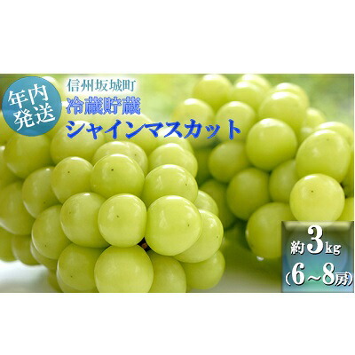 【ふるさと納税】【11・12月発送】冬に味わう！冷蔵貯蔵シャインマスカット 約3kg (6～8房) 長野 信州 坂城 冷蔵シャイン 産地直送 宮原農園　 年内発送 ぶどう ブドウ フルーツ 種なし 　お届け：2025年11月中旬～12月下旬