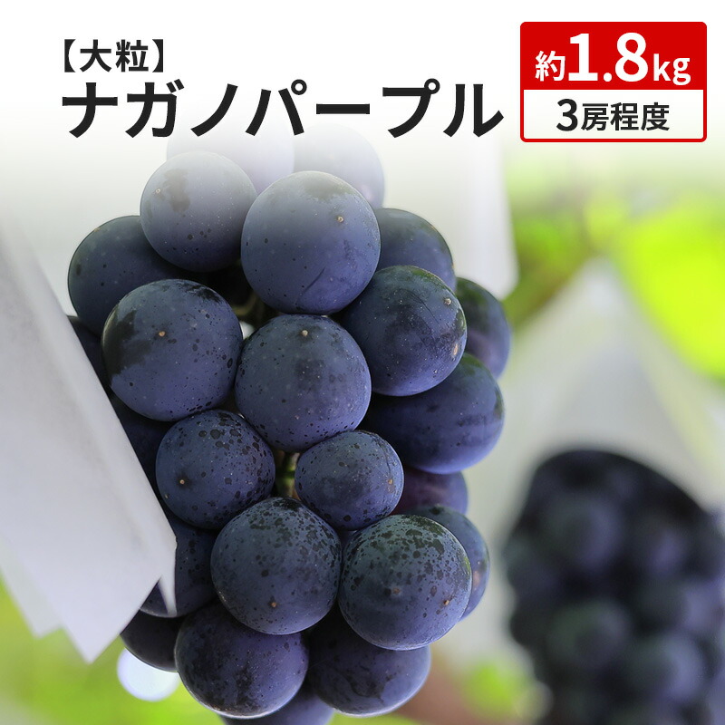 【ふるさと納税】ナガノパープル 約1.8kg 3房程度 長野 坂城町産 ぶどう K＆Y農園 ブドウ フルーツ 果物 果物類 　お届け：2025年9月上旬～9月下旬