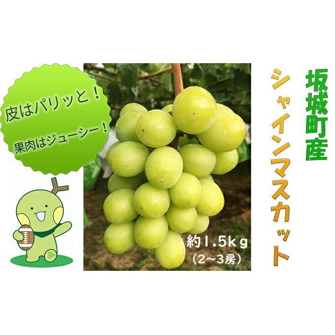 【ふるさと納税】シャインマスカット 約1.5kg 2房～3房 YANAGISAWA ぶどう 長野 マスカット ブドウ フルーツ 果物 シャイン【 果物類 】 葡萄 　お届け：2025年9月中旬～11月上旬