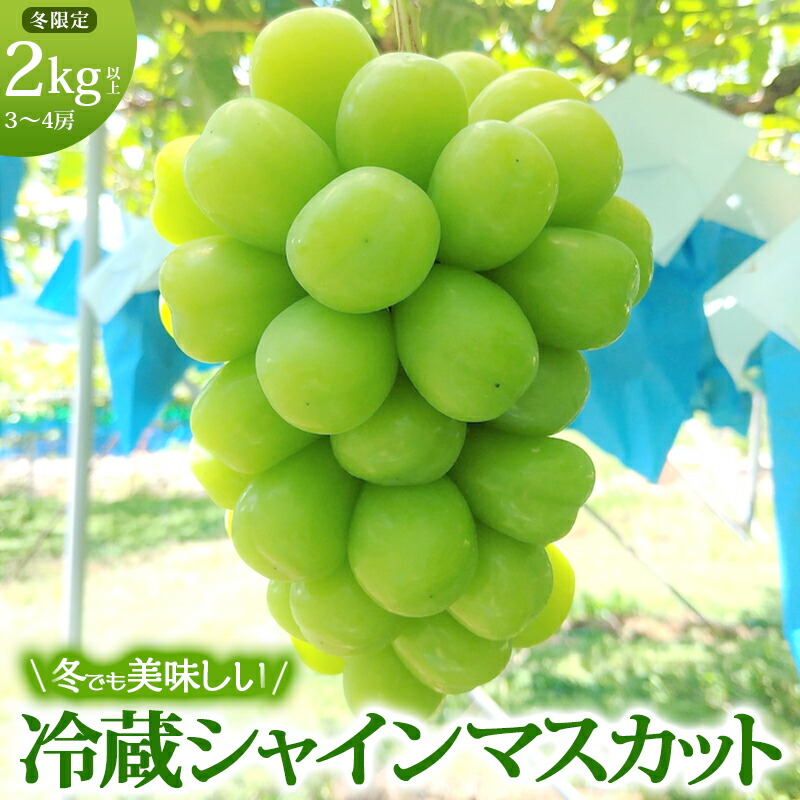 【ふるさと納税】【11・12月発送】富山葡萄園の冷蔵シャインマスカット 2kg以上（3-4房）長野 信州 坂城 産地直送※配送不可エリアあり※ 果物類 ぶどう ブドウ フルーツ 　お届け：2025年11月中旬～12月下旬