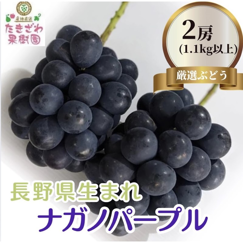 【ふるさと納税】ナガノパープル 約1.1kg以上 2房～3房 たきざわ果樹園 ぶどう 長野 マスカット ブドウ フルーツ 果物 【 果物類 】 　お届け：2025年9月上旬～9月中旬