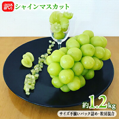 【ふるさと納税】訳あり シャインマスカット 約1.2kg  赤坂果樹園 ぶどう 長野 マスカット ブドウ フルーツ 果物 シャイン【 果物類 】 長野県産 　お届け：2025年9月中旬～11月上旬