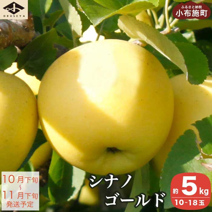 【ふるさと納税】シナノゴールド 約5kg 10～18玉 ［小布施屋］ りんご 林檎 リンゴ 果物 フルーツ 長野県産 信州産 数量限定 先行予約 特産 産地直送 産直 令和8年産 【2026年10月下旬～11月下旬発送】｜長野県小布施町