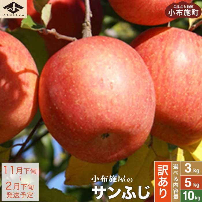 サンふじ 約５kg 10〜20玉 生産者応援 不揃い 長野 フルーツ りんご 2022年11月下旬〜2023年2月下旬発送 小布施屋 産直 信州 果物  リンゴ 令和4年産 家庭用 先行予約 規格外 林檎 特産 産地直送 5kg 数量限定 支援