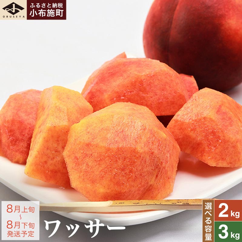 楽天市場】ワッサークイーン 長野産 発送中 5kg箱 約18〜22玉入 【送料