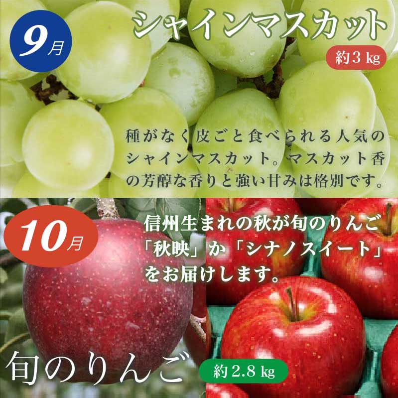 【楽天市場】【ふるさと納税】小布施のフルーツ定期便 6カ月コース：長野県小布施町