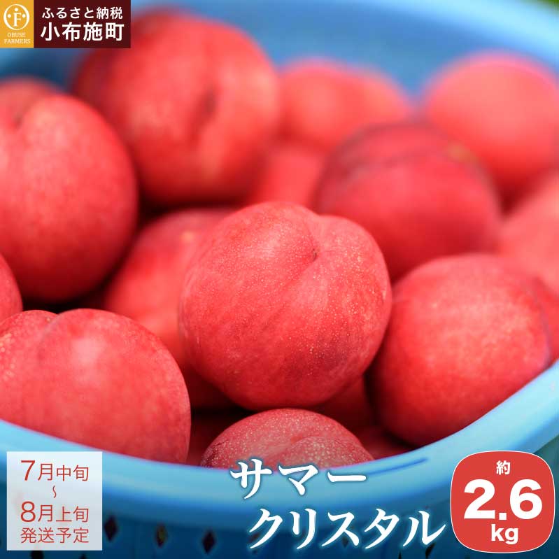 【ふるさと納税】先行予約 サマークリスタル 約2.6kg ［おぶせファーマーズ］先行予約 ネクタリン 果物 フルーツ 桃 もも 冷蔵便 クール便 長野県産 信州産 送料無料 令和8年産【2026年7月中旬～8月上旬発送】｜長野県小布施町 7,810円