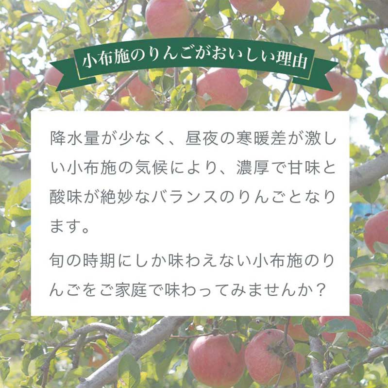 超お買い得！】 シナノスイート 秀以上 約3kg 6〜12玉 おぶせファーマーズ 2022年10月中旬〜11月上旬発送 りんご 林檎 リンゴ 果物  フルーツ ふじ 長野 信州 先行予約 数量限定 qdtek.vn