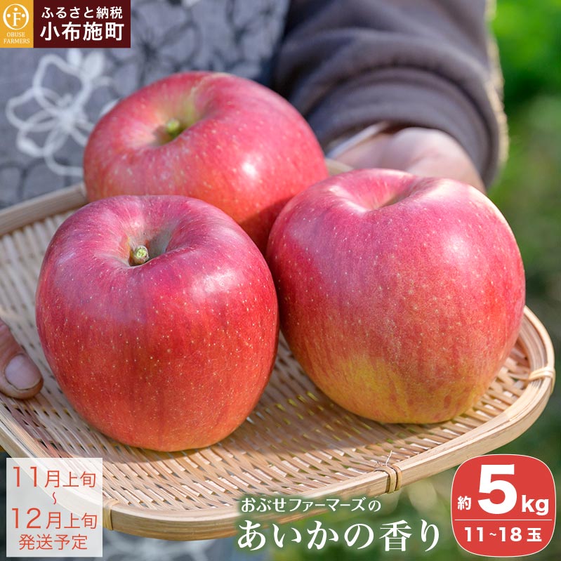 【ふるさと納税】 先行受付 あいかの香り 約5kg 11～18玉 ［おぶせファーマーズ］ りんご 林檎 リンゴ 果物 フルーツ 長野県産 信州産 先行予約 数量限定 令和8年産 【2026年11月上旬～12月上旬発送】｜長野県小布施町