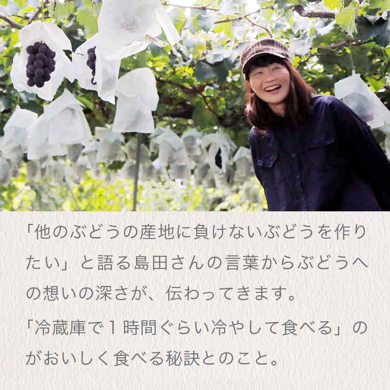 【ふるさと納税】おぶせファーマーズの「シャインマスカット約2kg」