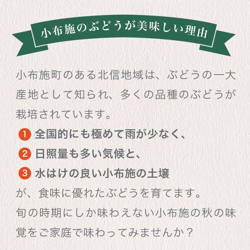 【ふるさと納税】おぶせファーマーズの「シャインマスカット約2kg」