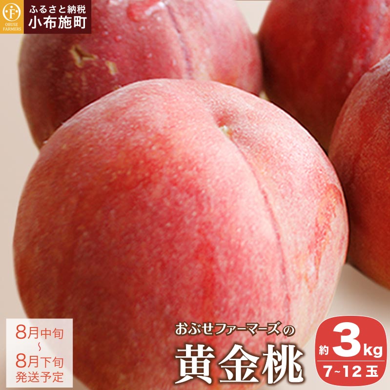 【ふるさと納税】 先行予約 黄金桃 約3kg 7～12玉 ［おぶせファーマーズ］桃 もも モモ ピーチ フルーツ 果物 長野県産 信州産 クール便 冷蔵便 数量限定 産地 直送 お取り寄せ 産地直送 令和8年産【2026年8月中旬～下旬発送】｜長野県小布施町