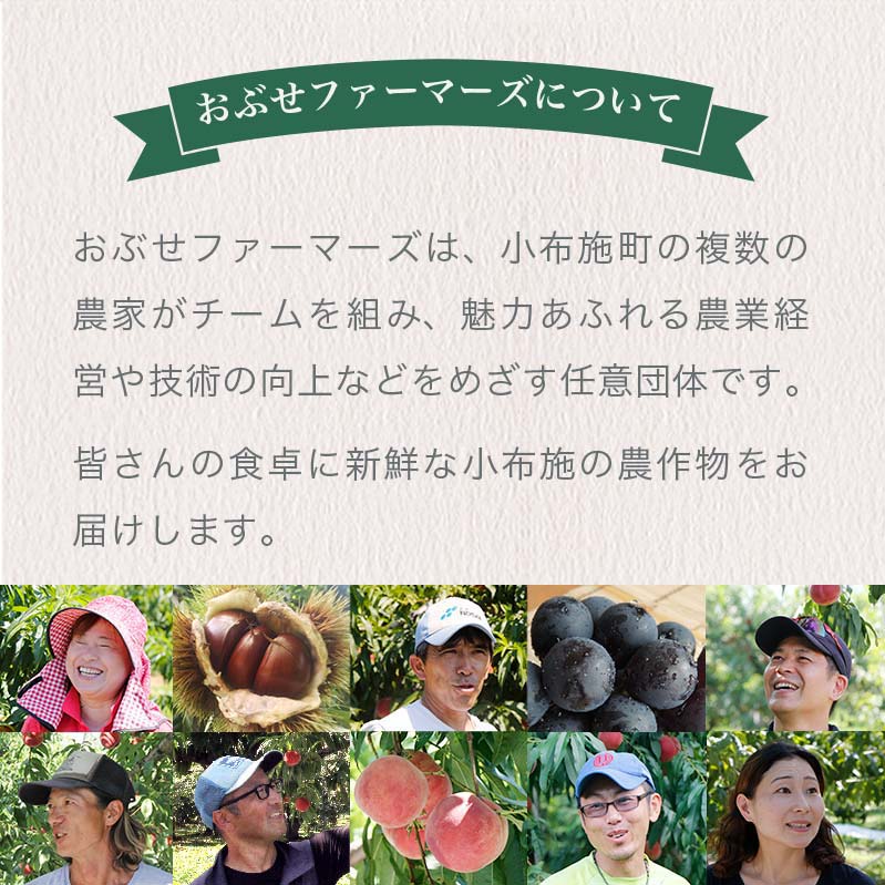 【ふるさと納税】おぶせファーマーズの「シャインマスカット約2kg」
