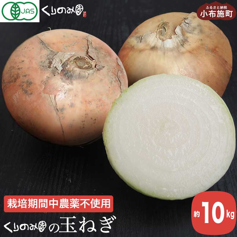 栽培期間中農薬 化学肥料不使用 くりのみ園の玉ねぎ 約10kg くりのみ園 野菜 玉ねぎ たまねぎ タマネギ 玉葱 長野県産 小布施町産 信州産  オーガニック 13周年記念イベントが