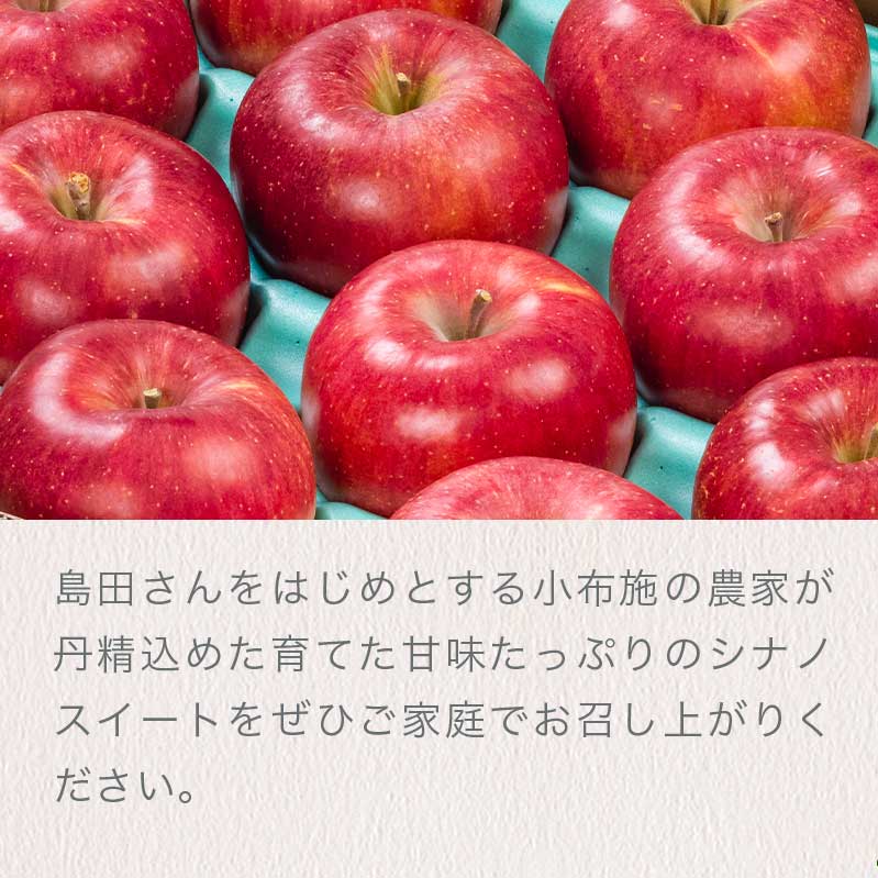 超お買い得！】 シナノスイート 秀以上 約3kg 6〜12玉 おぶせファーマーズ 2022年10月中旬〜11月上旬発送 りんご 林檎 リンゴ 果物  フルーツ ふじ 長野 信州 先行予約 数量限定 qdtek.vn