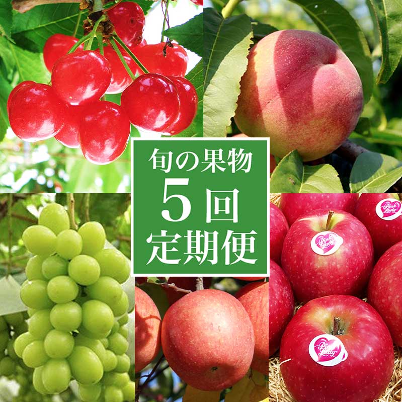 【ふるさと納税】【5回定期便】小布施屋の人気フルーツ定期便　年5回コース［小布施屋］ フルーツ 果物 さくらんぼ もも 白桃 シャインマスカット 林檎 りんご リンゴ お楽しみ 数量限定 長野県 信州 令和8年産 【2026年6月中旬～2027年2月発送】