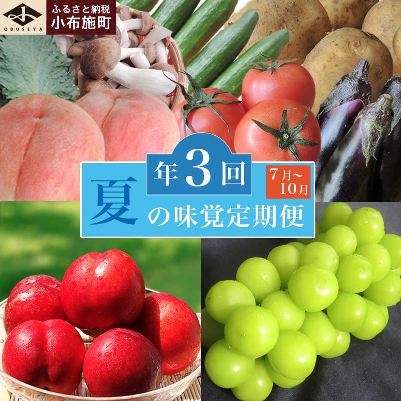 【ふるさと納税】［3回定期便］ 夏の味覚3回コース ［小布施屋］ 先行予約 フルーツ 果物 くだもの 野菜 やさい 数量限定 ネクタリン 桃 シャインマスカット ぶどう クール便 冷蔵 お楽しみ 3回お届け 長野県産 信州産 令和8年産【2026年7月～10月発送】