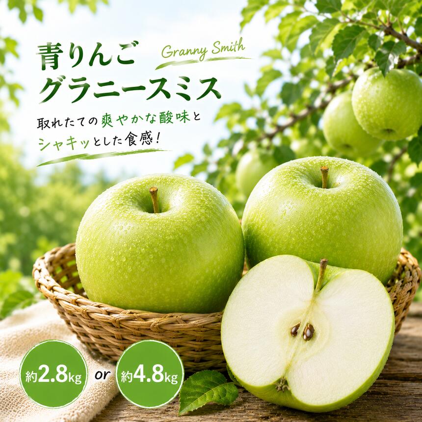 【ふるさと納税】 選べる 内容量 先行予約 青りんご グラニースミス 約2.8kg or 約4.8kg ［小布施屋］| りんご 青りんご フルーツ 果物 グラニースミス 長野県産 信州産 令和8年産【2026年11月上旬～2027年2月下旬発送】｜長野県小布施町