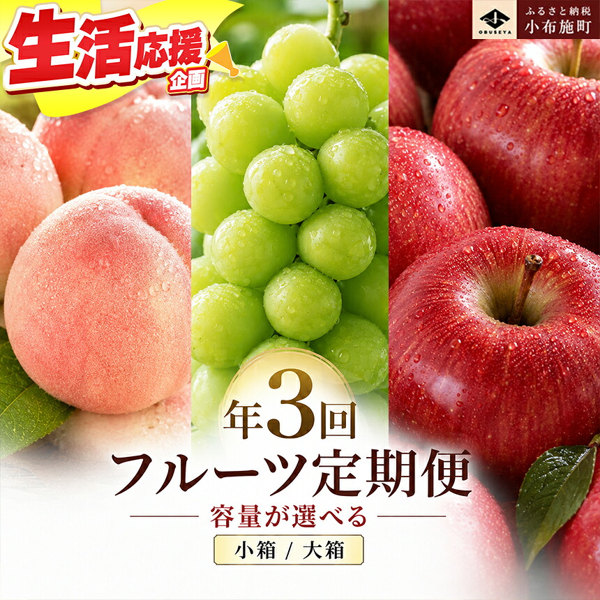 【ふるさと納税】［3回定期便］ 信州のフルーツ3回コース 選べる 内容量 ［小布施屋］定期便 先行予約 フルーツ 数量限定 白桃 シャインマスカット ぶどう りんご お楽しみ 3回お届け 長野県産 信州産 令和8年産 【2026年7月～12月発送】｜長野県小布施町