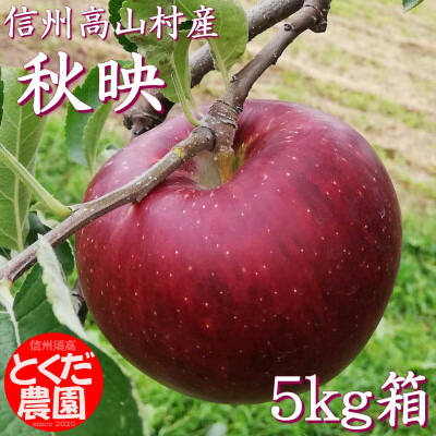 【ふるさと納税】高山村産りんご(秋映)5kg箱【1299374】