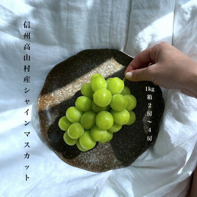 楽天市場】【ふるさと納税】【信州産ぶどう3房セット】 シャイン