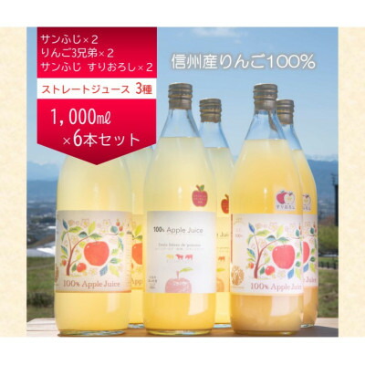 【ふるさと納税】信州産りんご100%ストレートジュース　6本セット【1620484】