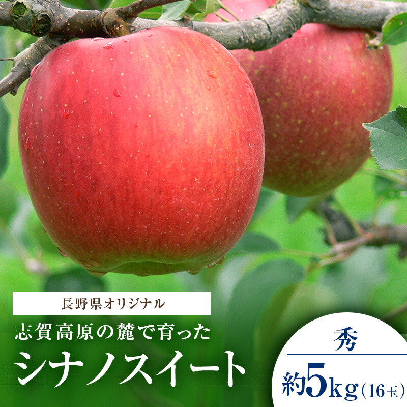 【ふるさと納税】志賀高原の麓で育った シナノスイート 秀16玉 約5kg りんご フルーツ 果物 デザート 長野県 長野　お届け：2025年10月20日～30日頃発送予定※収穫時期や出荷時期が限られているため日時指定不可
