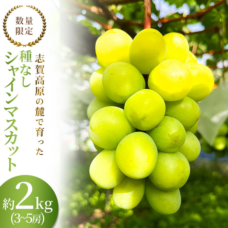 【ふるさと納税】志賀高原の麓で育った シャインマスカット 3～5房 約2kg ※お届け日時指定不可 ぶどう フルーツ 果物 デザート 長野県 長野　お届け：2025年10月1日～30日頃発送予定※収穫時期や出荷時期が限られているため日時指定不可