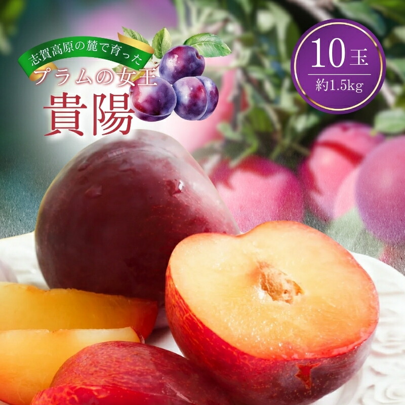 【ふるさと納税】志賀高原の麓で育った プラム 貴陽大玉10玉約1.5kg 【 プラム すもも フルーツ 果物 長野 】 　お届け：2025年8月10日～8月20日頃発送予定※収穫時期や出荷時期が限られているため日時指定不可