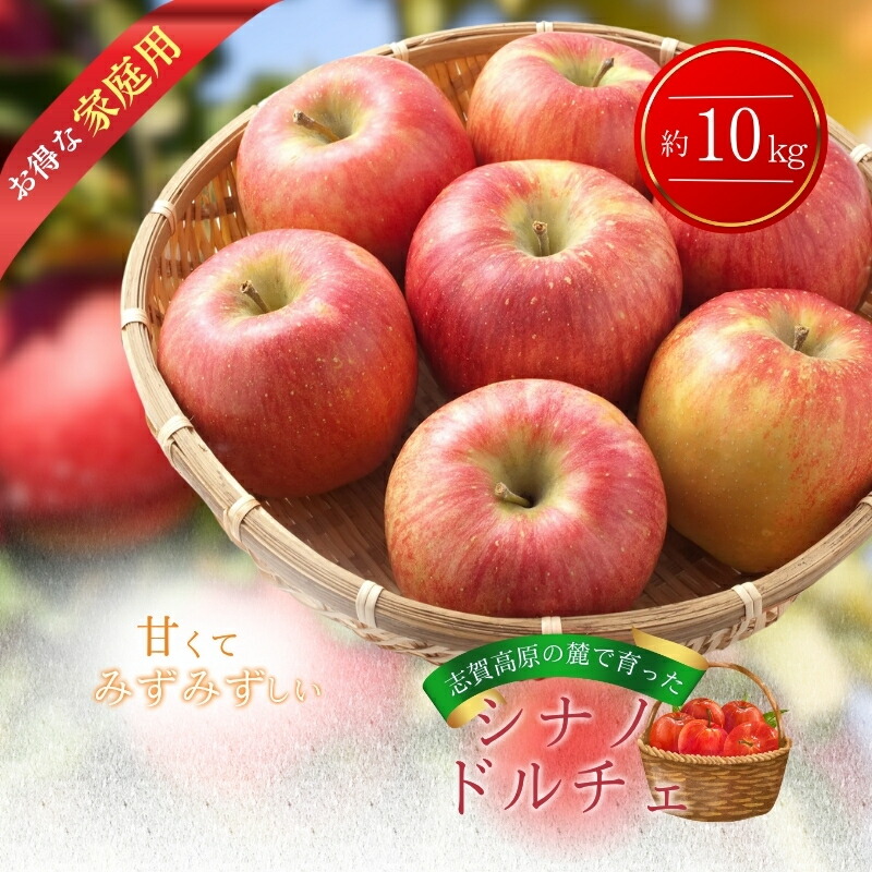 【ふるさと納税】志賀高原の麓で育った シナノドルチェ （家庭用）約10kg  りんご 10kg フルーツ 長野　お届け：2025年9月20～9月30日頃発送予定 ※収穫時期や出荷時期が限られているため日時指定不可