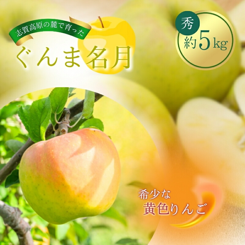 【ふるさと納税】志賀高原の麓で育った ぐんま名月 秀18玉 約5kg りんご 5kg フルーツ 果物 デザート 長野　お届け：2025年11月10日～20日頃発送予定※収穫時期や出荷時期が限られているため日時指定不可