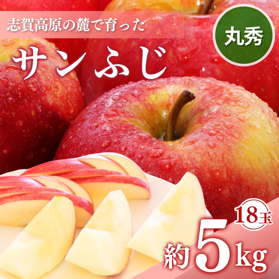 【ふるさと納税】志賀高原の麓で育った サンふじ 丸秀18玉 約5kg りんご 5kg フルーツ 果物 デザート 長野　お届け：2025年12月1日～10日頃発送予定 ※収穫時期や出荷時期が限られているため日時指定不可