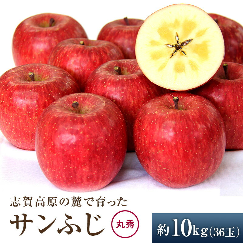 【ふるさと納税】志賀高原の麓で育った サンふじ 丸秀36玉 約10kg りんご 10kg フルーツ 果物 デザート 長野　お届け：2025年12月1日～10日頃発送予定 ※収穫時期や出荷時期が限られているため日時指定不可